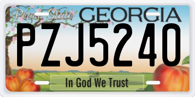 GA license plate PZJ5240