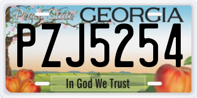 GA license plate PZJ5254