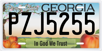 GA license plate PZJ5255