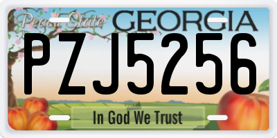 GA license plate PZJ5256