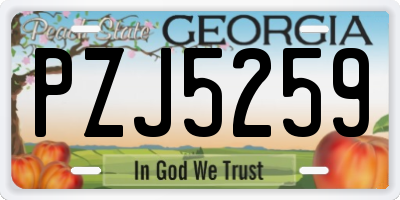 GA license plate PZJ5259