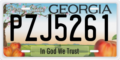 GA license plate PZJ5261