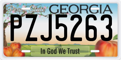 GA license plate PZJ5263