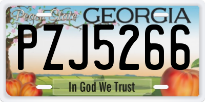 GA license plate PZJ5266