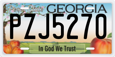 GA license plate PZJ5270