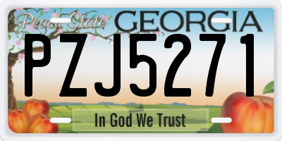 GA license plate PZJ5271