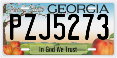 GA license plate PZJ5273