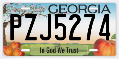 GA license plate PZJ5274
