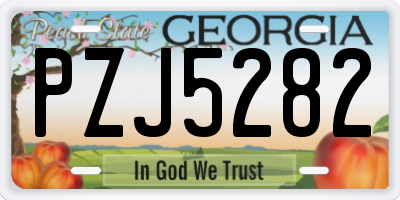 GA license plate PZJ5282