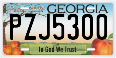 GA license plate PZJ5300