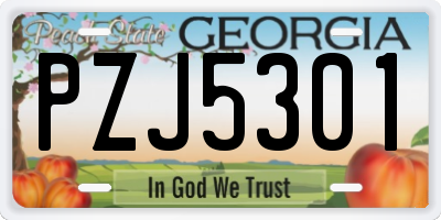 GA license plate PZJ5301