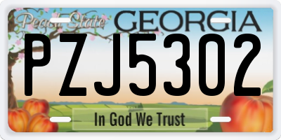 GA license plate PZJ5302