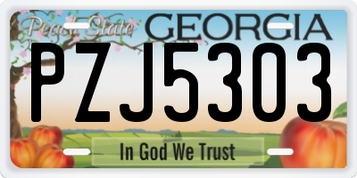 GA license plate PZJ5303