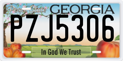 GA license plate PZJ5306