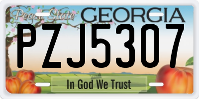 GA license plate PZJ5307