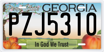 GA license plate PZJ5310