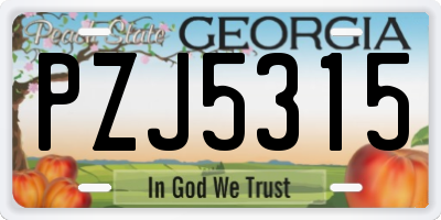 GA license plate PZJ5315