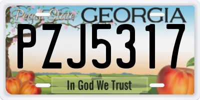 GA license plate PZJ5317