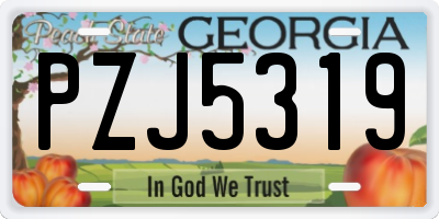 GA license plate PZJ5319
