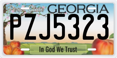 GA license plate PZJ5323