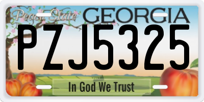 GA license plate PZJ5325