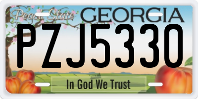 GA license plate PZJ5330