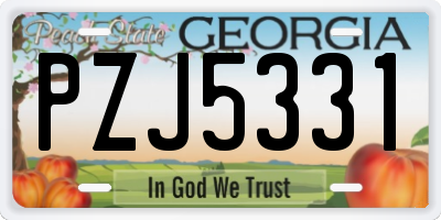 GA license plate PZJ5331