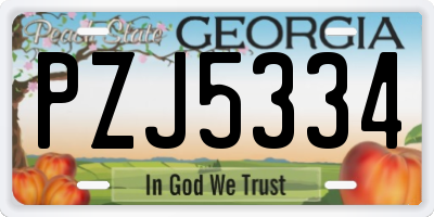 GA license plate PZJ5334