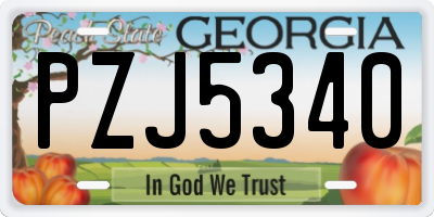 GA license plate PZJ5340