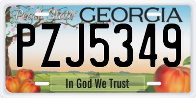 GA license plate PZJ5349
