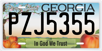 GA license plate PZJ5355