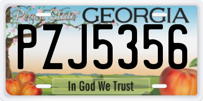 GA license plate PZJ5356