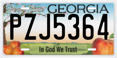 GA license plate PZJ5364