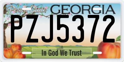 GA license plate PZJ5372