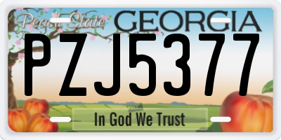 GA license plate PZJ5377
