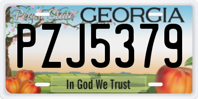 GA license plate PZJ5379