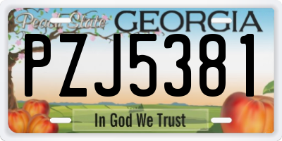 GA license plate PZJ5381