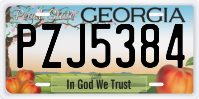 GA license plate PZJ5384