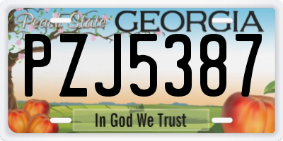 GA license plate PZJ5387