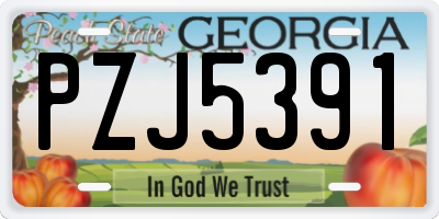 GA license plate PZJ5391