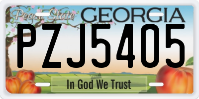GA license plate PZJ5405