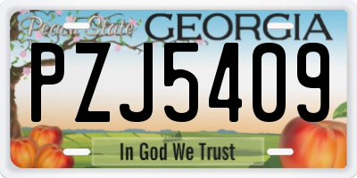 GA license plate PZJ5409