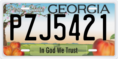 GA license plate PZJ5421