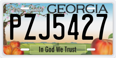 GA license plate PZJ5427