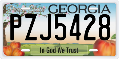 GA license plate PZJ5428