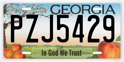 GA license plate PZJ5429