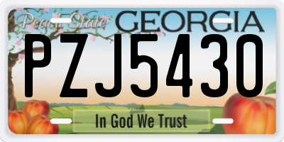 GA license plate PZJ5430