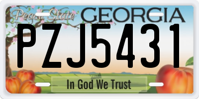 GA license plate PZJ5431