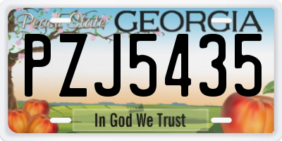 GA license plate PZJ5435