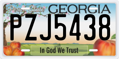 GA license plate PZJ5438